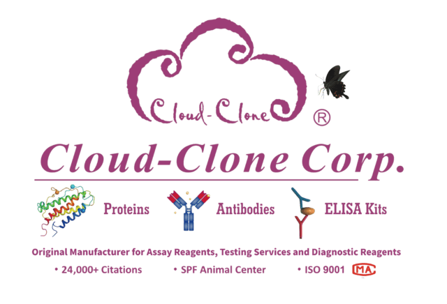 Cloud Clone Logo Transparent Update