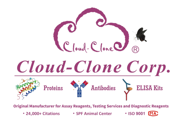 Cloud Clone Logo Transparent Update